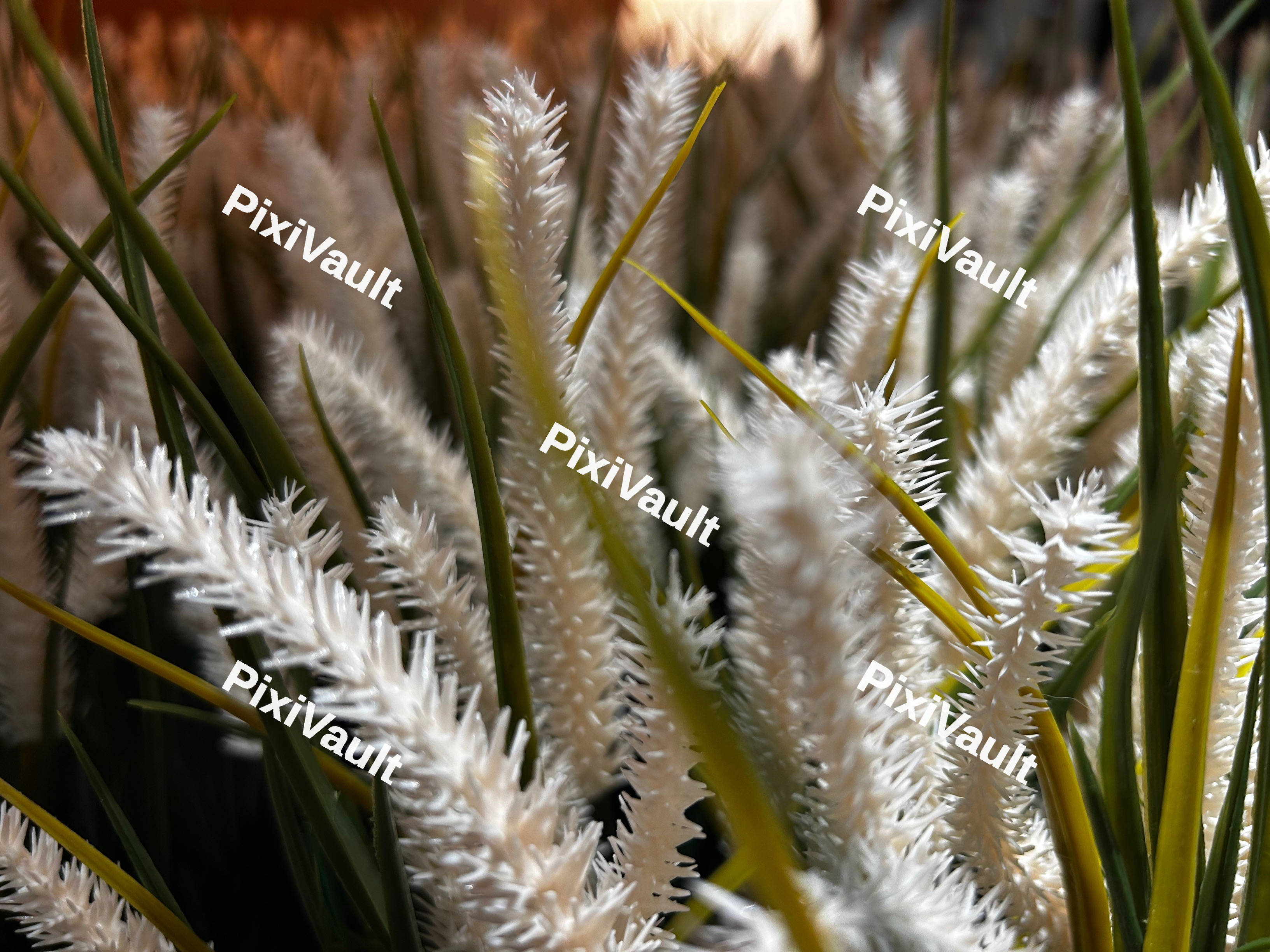 Spiky White Plant